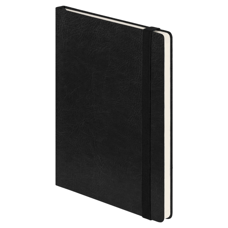 Ежедневник Voyage BtoBook